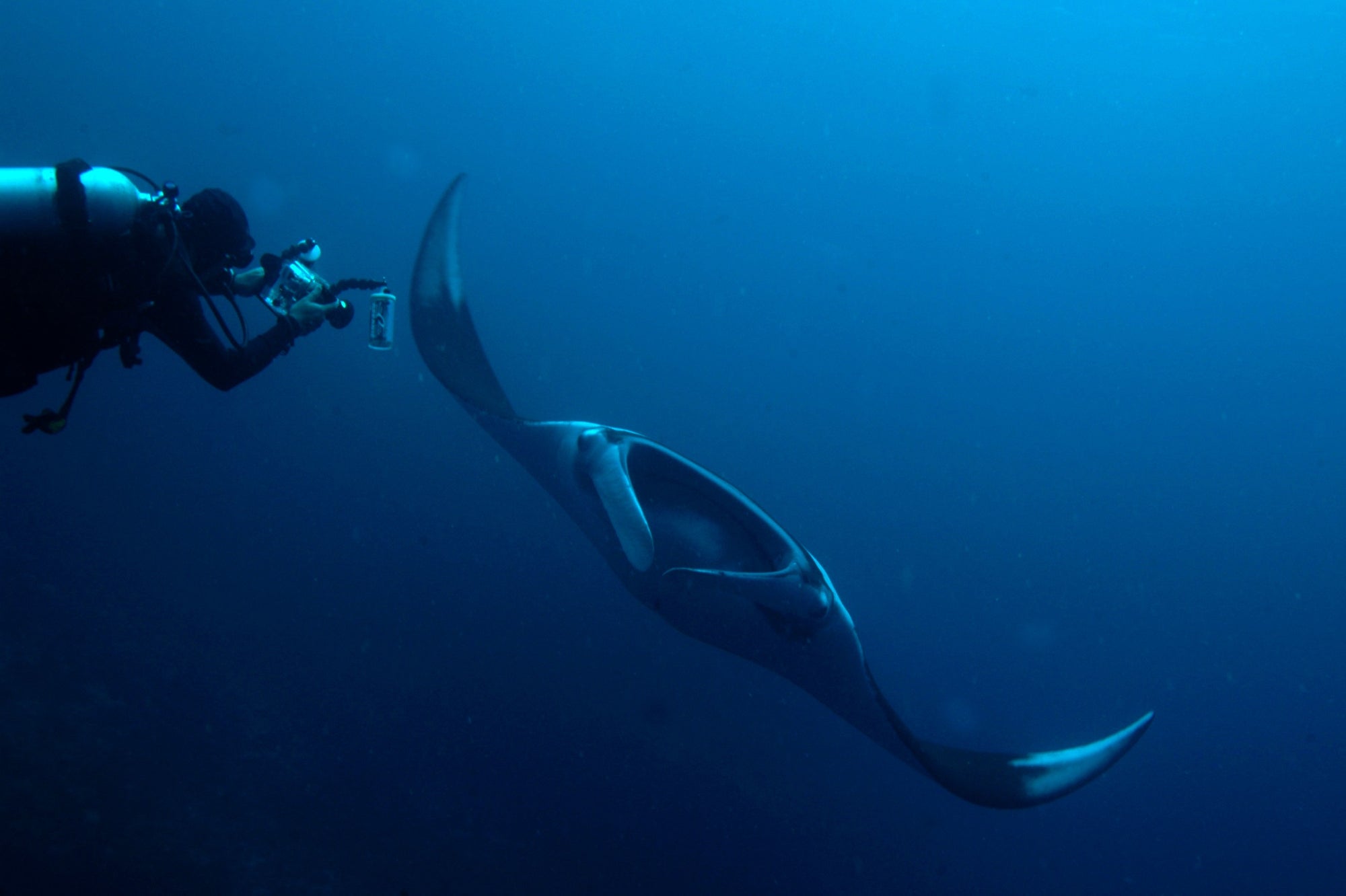 Diving