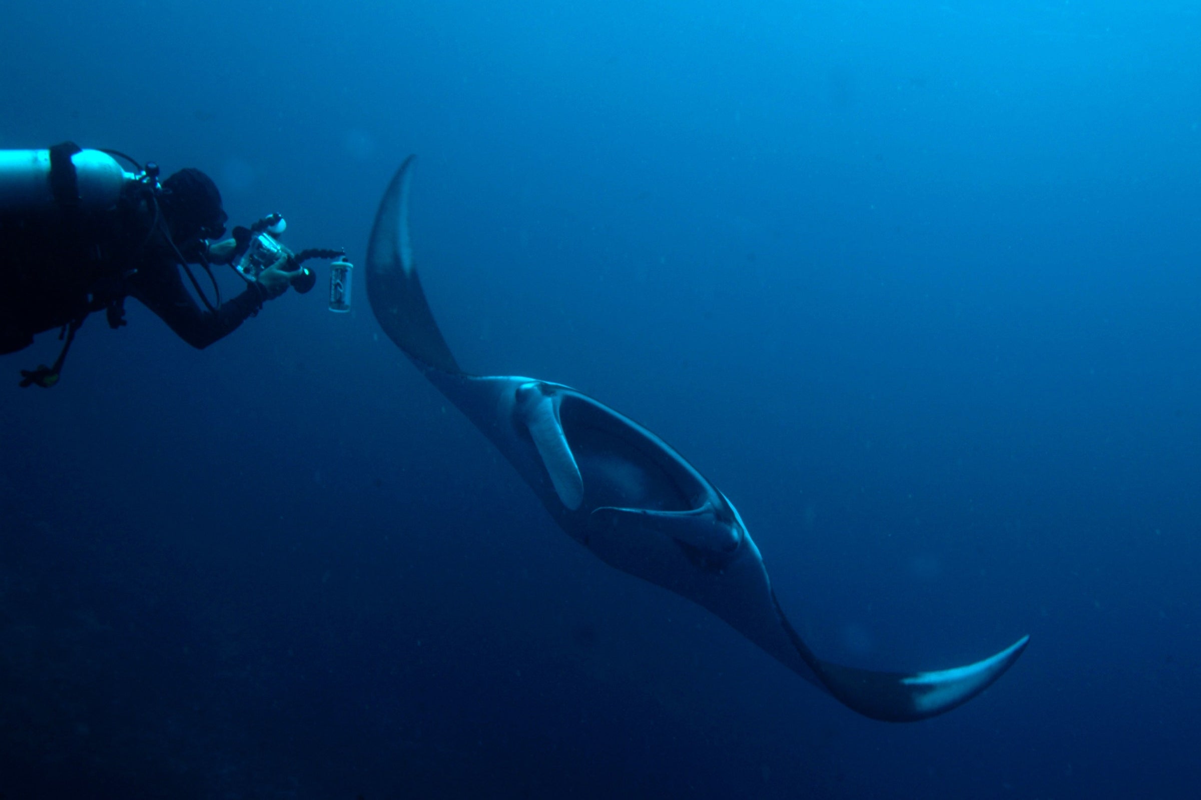 Diving