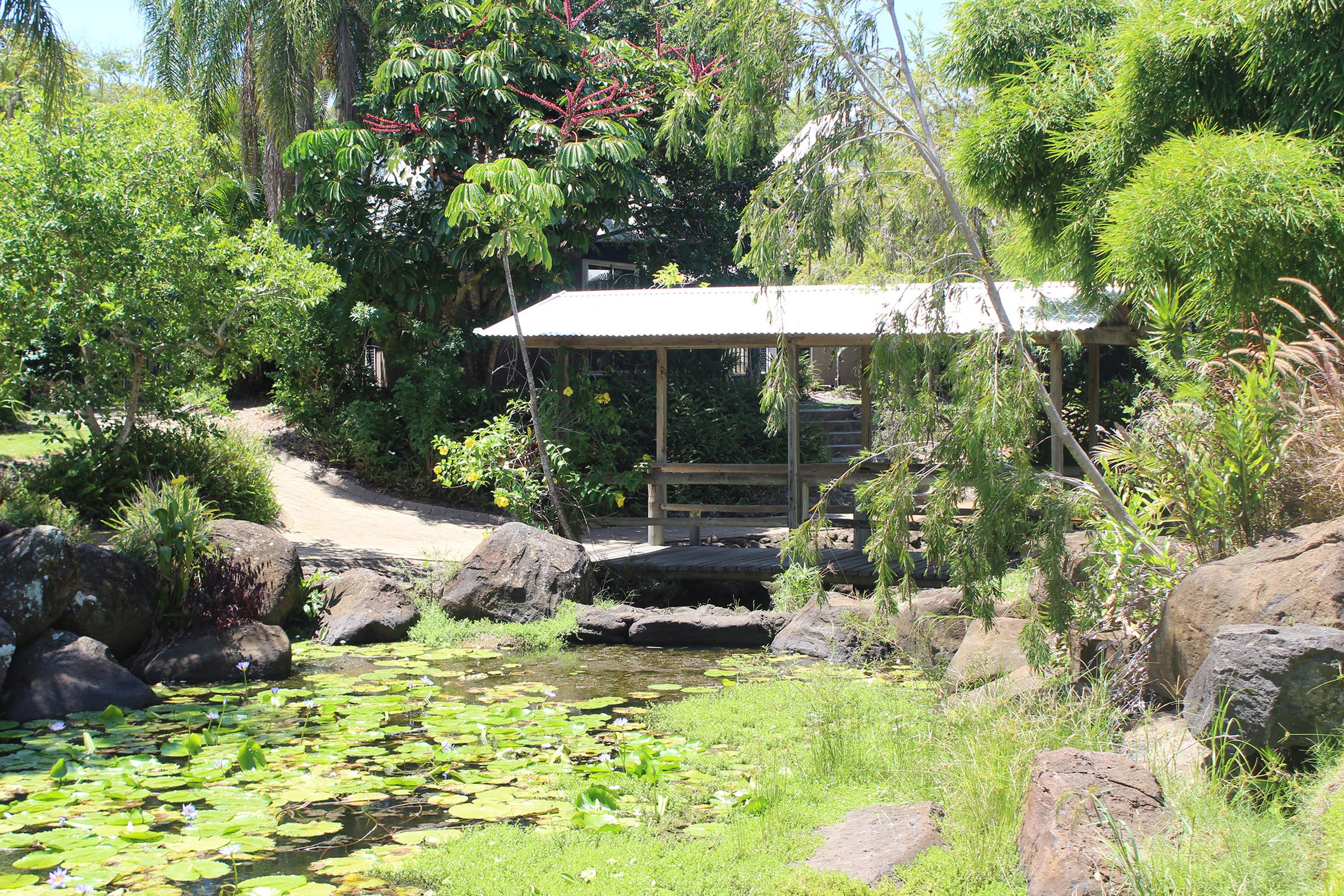 Bargara