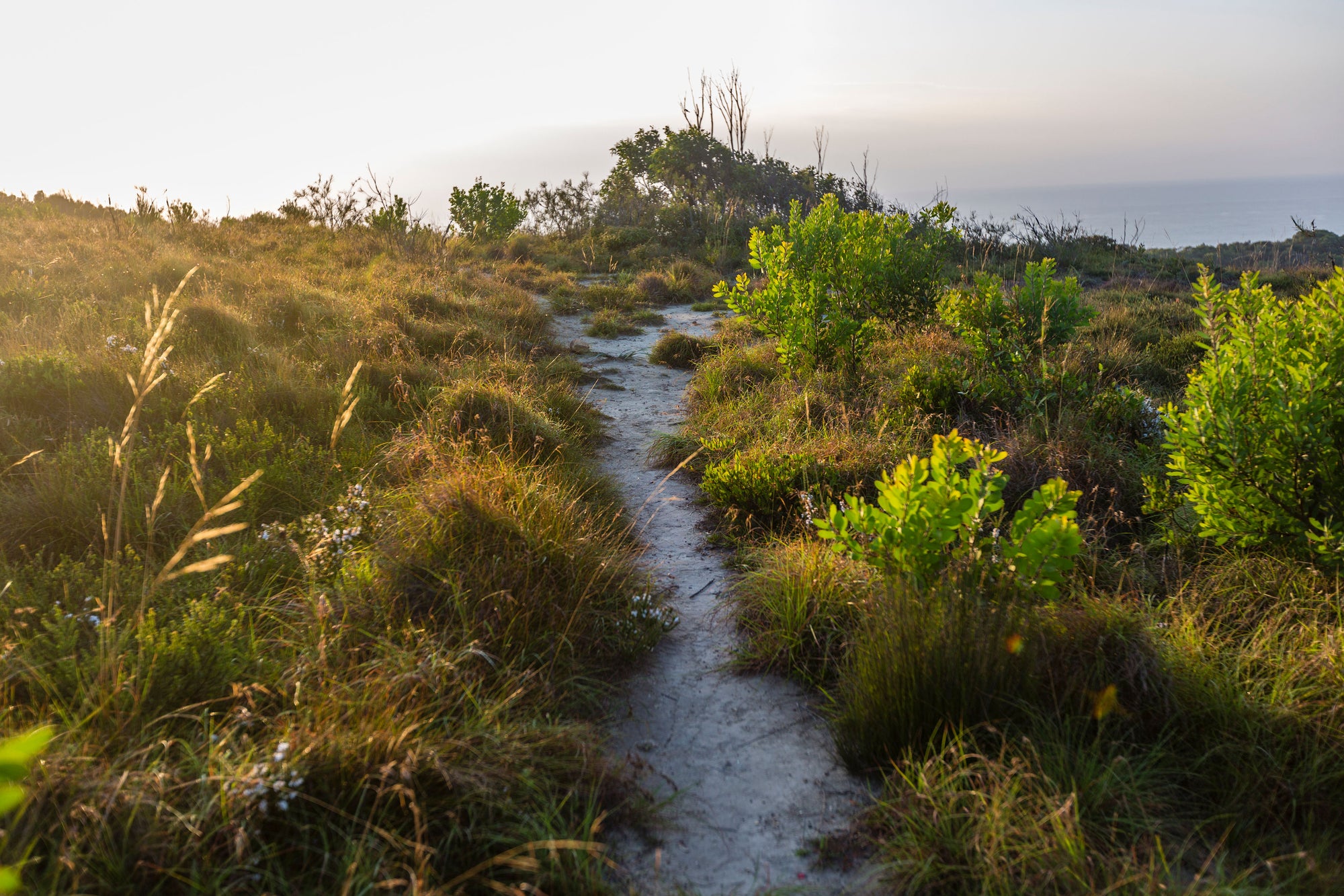 Hiking 