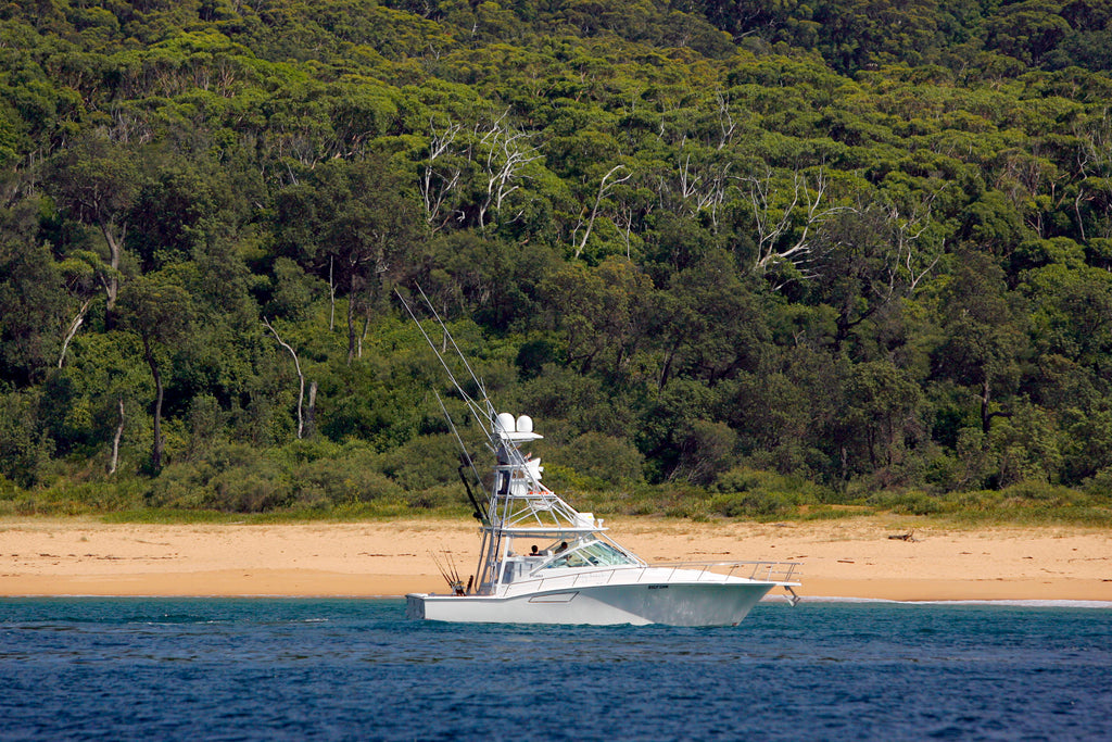 Kayaking, Sailing, Fishing, Paddle boarding, Surfing 