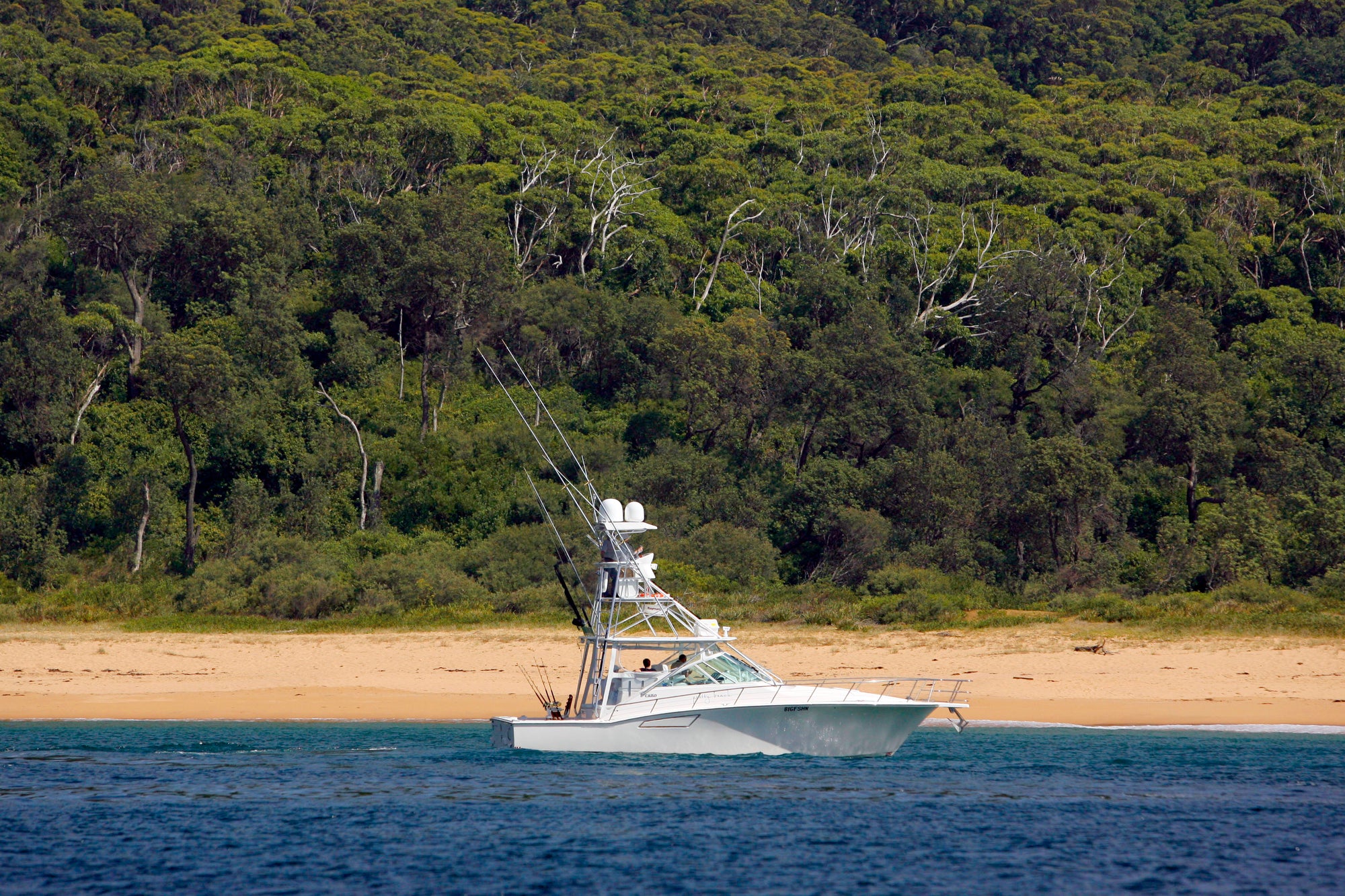 Kayaking, Sailing, Fishing, Paddle boarding, Surfing 