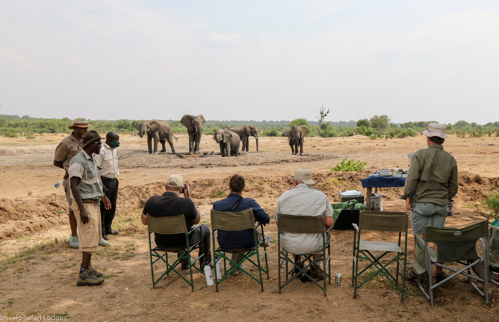 Experiential dining