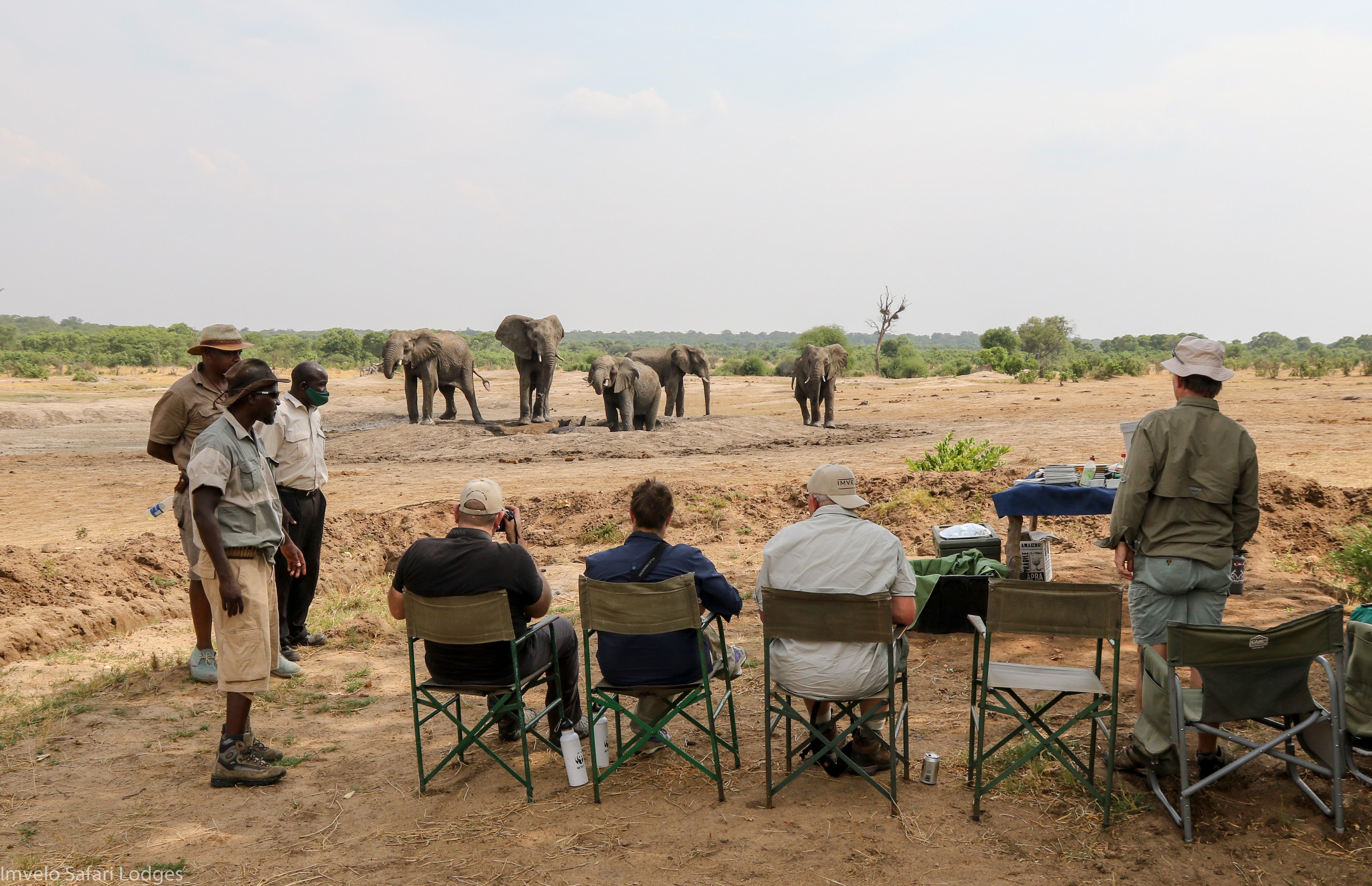 Experiential dining