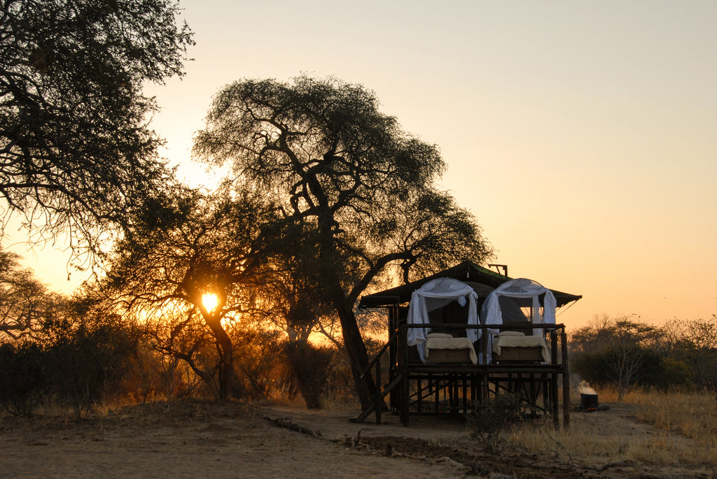Jozibanini star beds