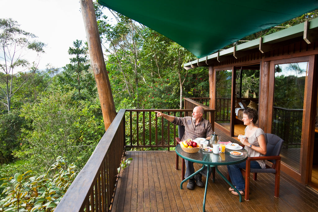 Studio Treehouse