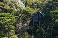 Studio Treehouse
