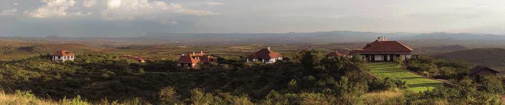 Overview