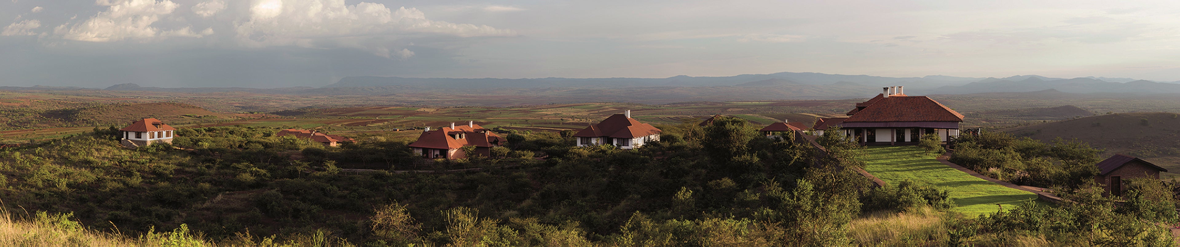 Overview