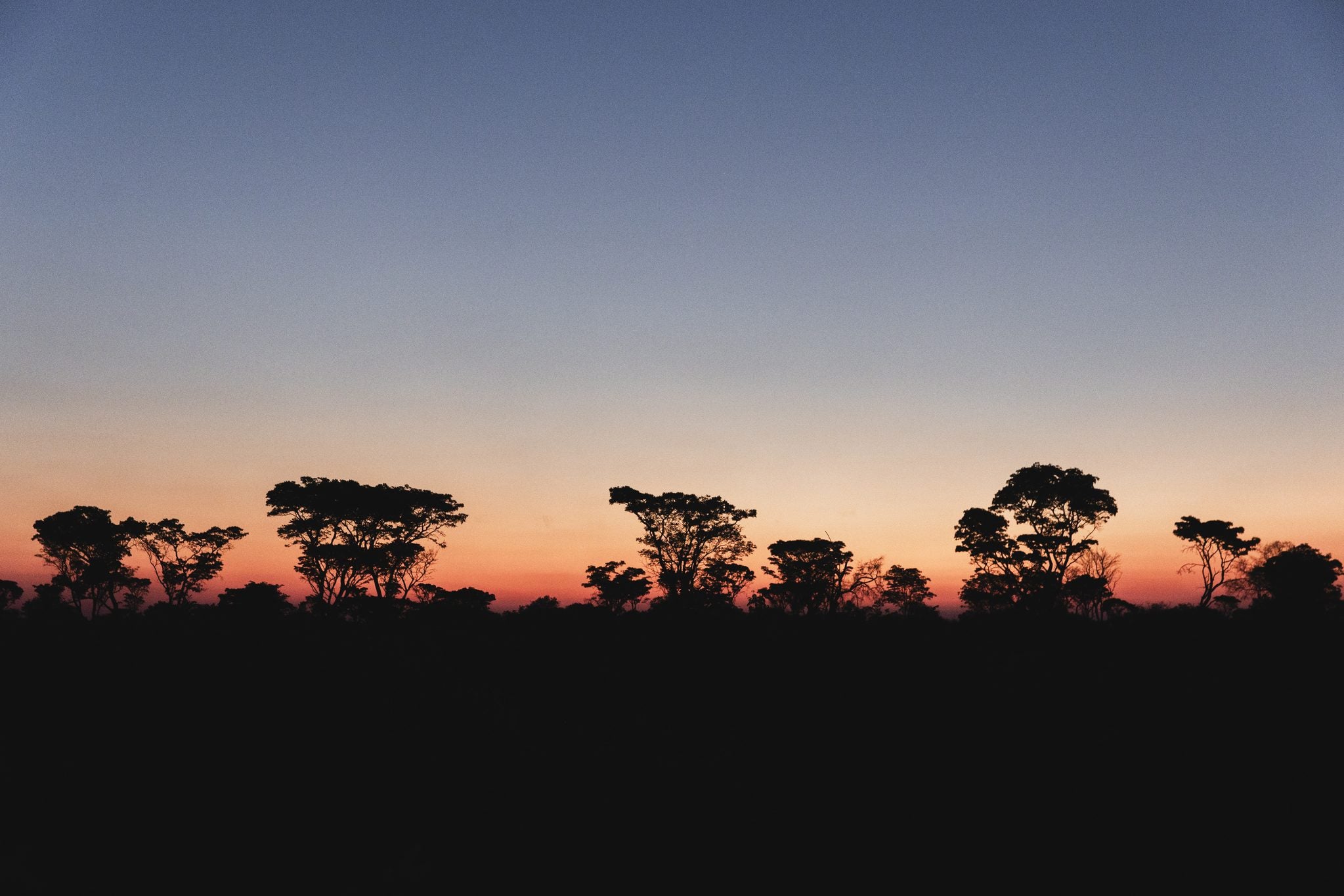 Wilderness Linkwasha – Night Drives