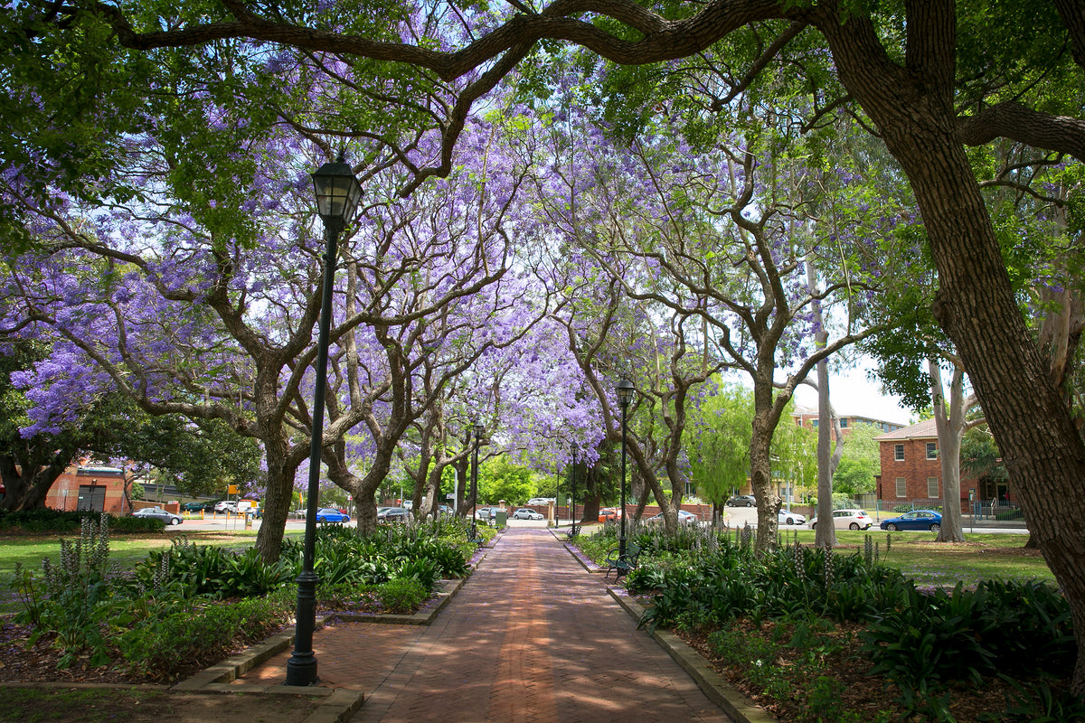 Novotel Sydney Parramatta