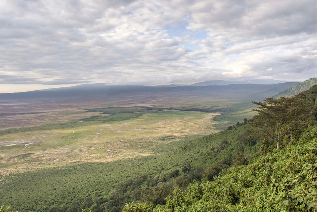 The Highlands - Ngorongoro Landscape at The Highlands, Ngorongoro Crater, Tanzania.