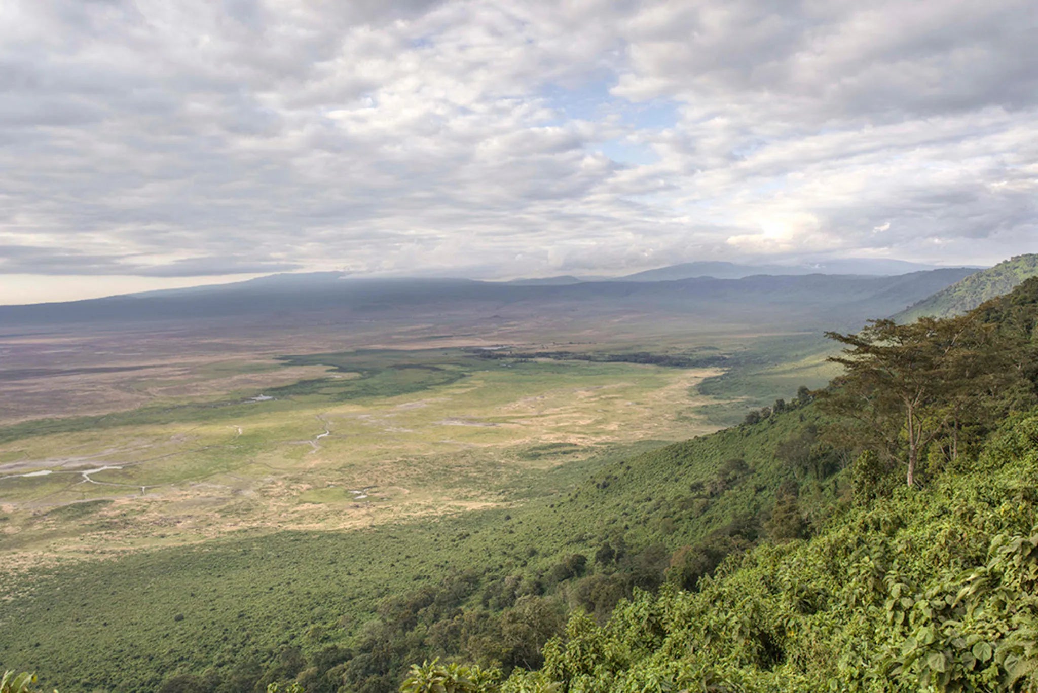 The Highlands - Ngorongoro Landscape at The Highlands, Ngorongoro Crater, Tanzania.