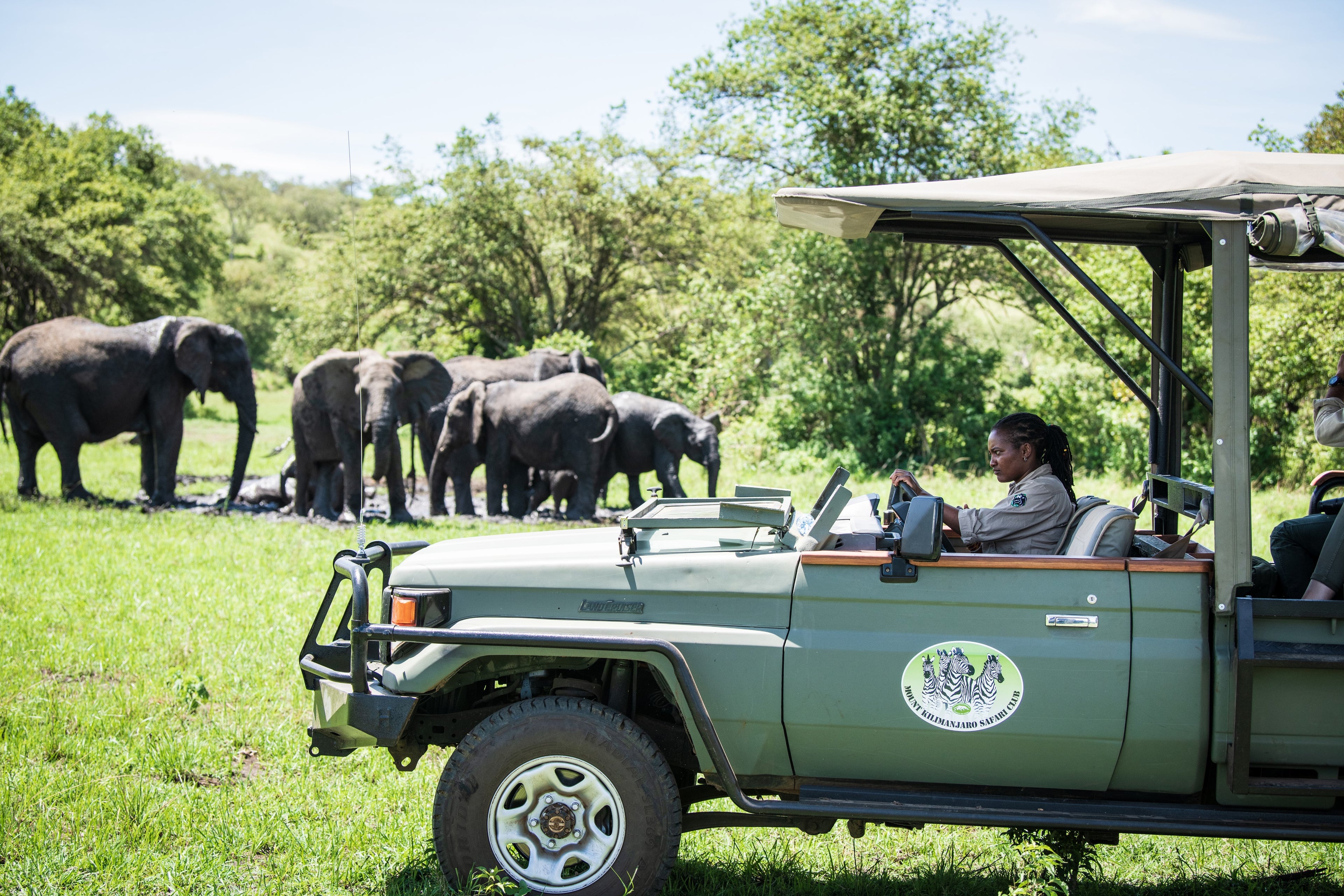 Shared Game Drive