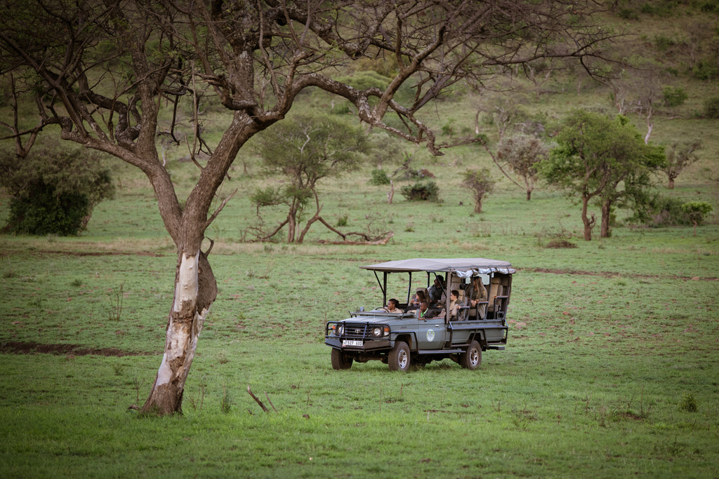 Shared Game Drive
