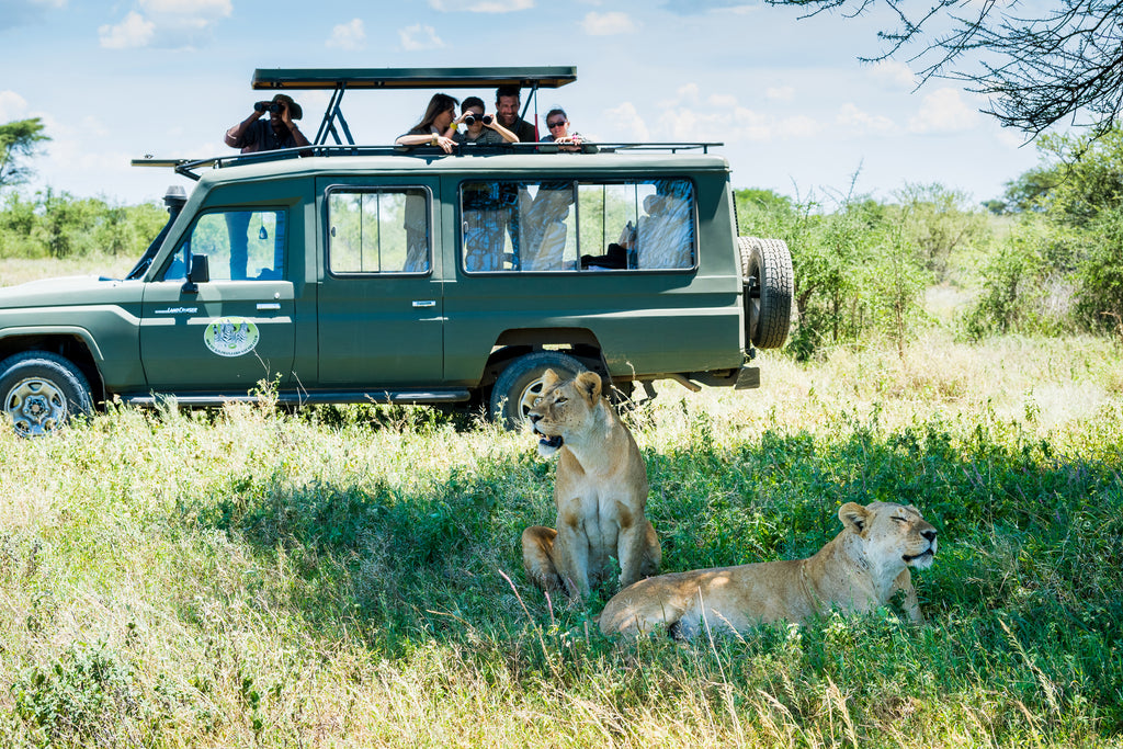 Game Drive