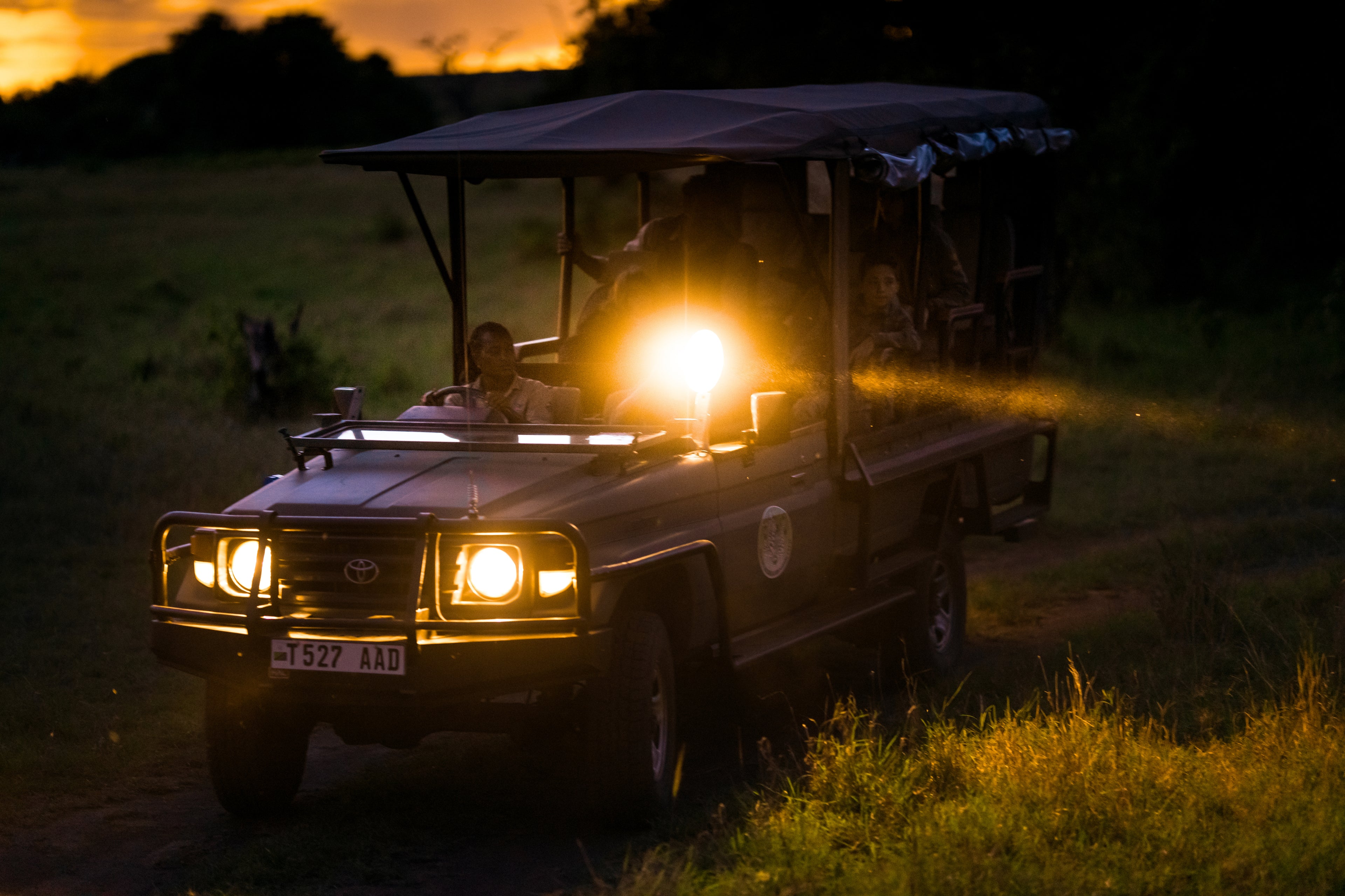 Night Game Drive