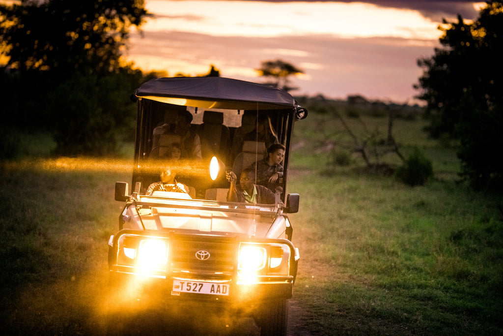 Night Game Drive