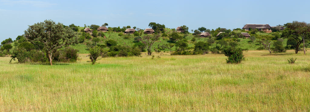 Landscape