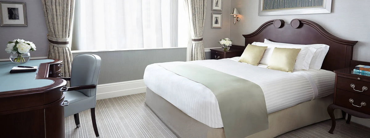 Superior Queen Single Room
