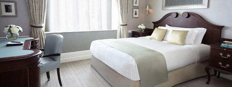 Superior Queen Single Room