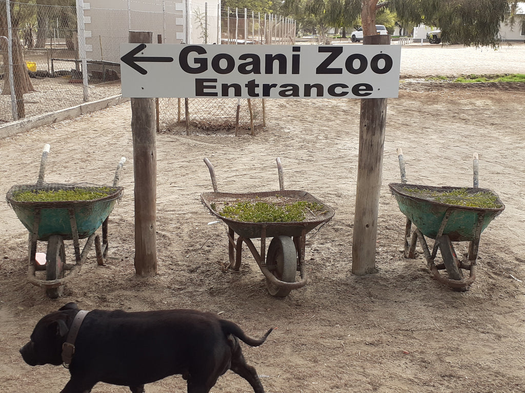 Goani Zoo