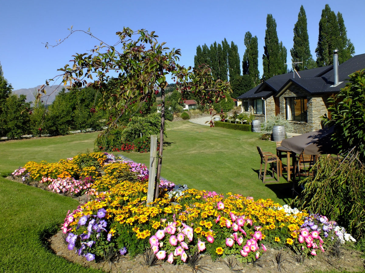 Wanaka Alpine Lodge