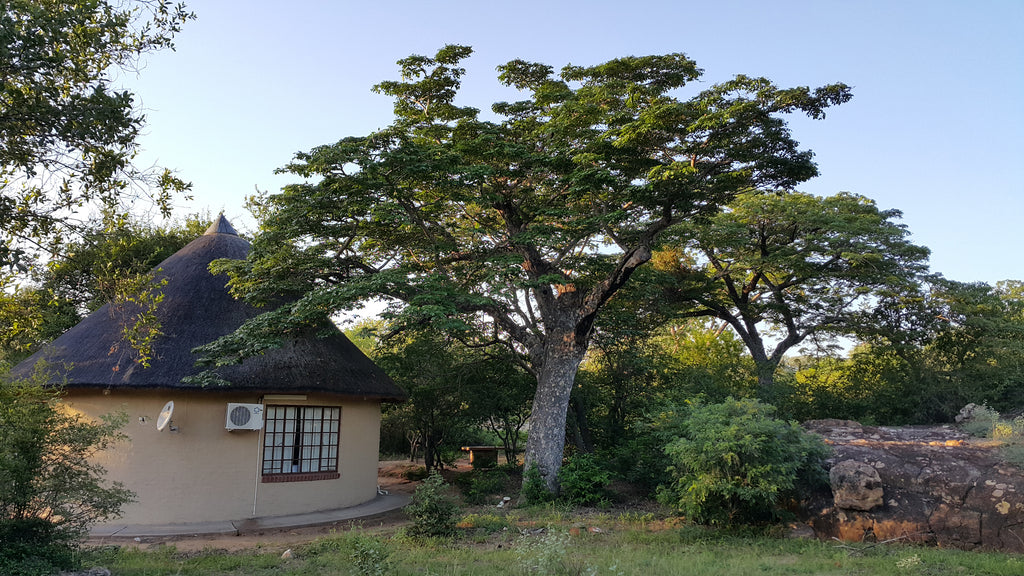 Bungalow