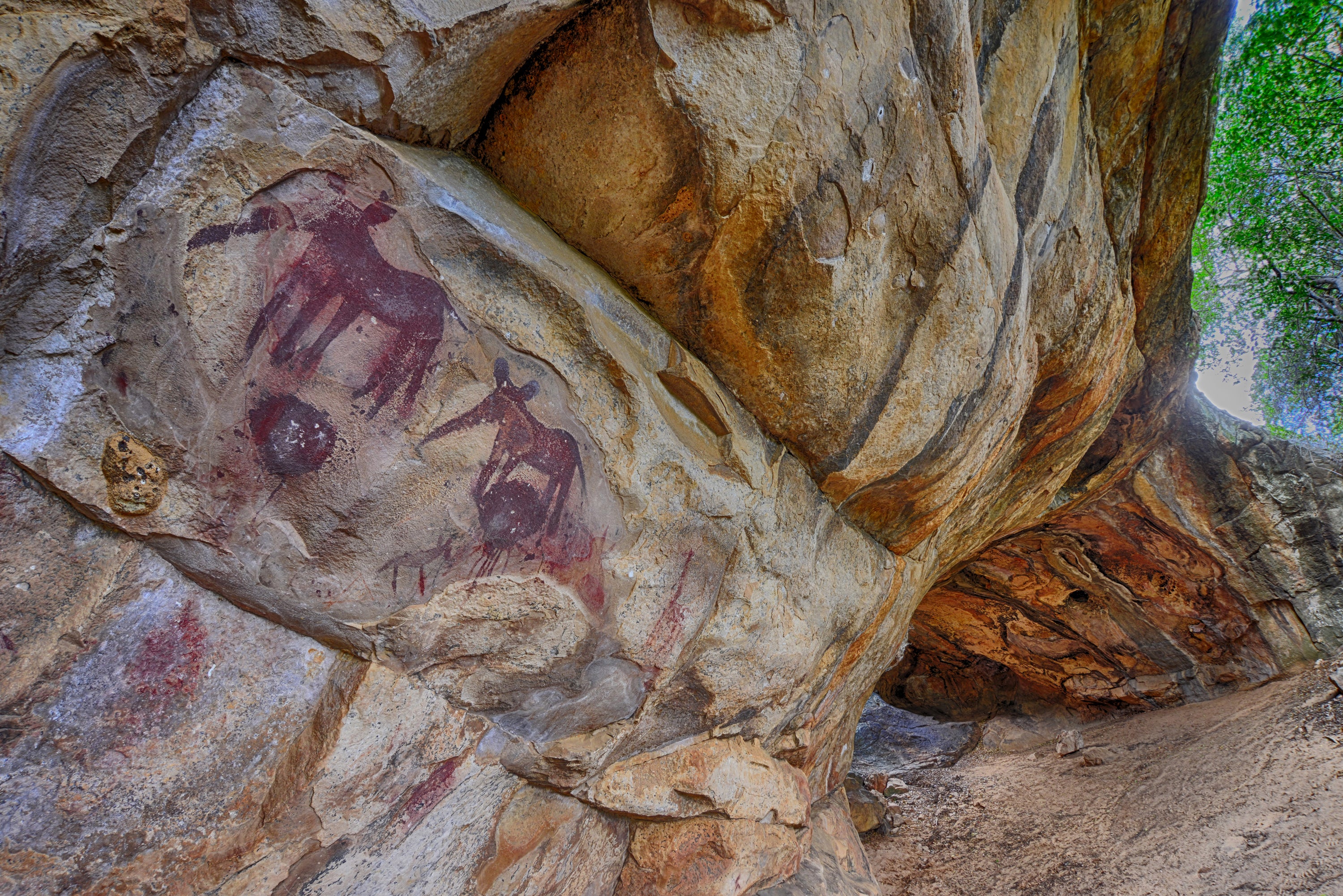 Rock paintings