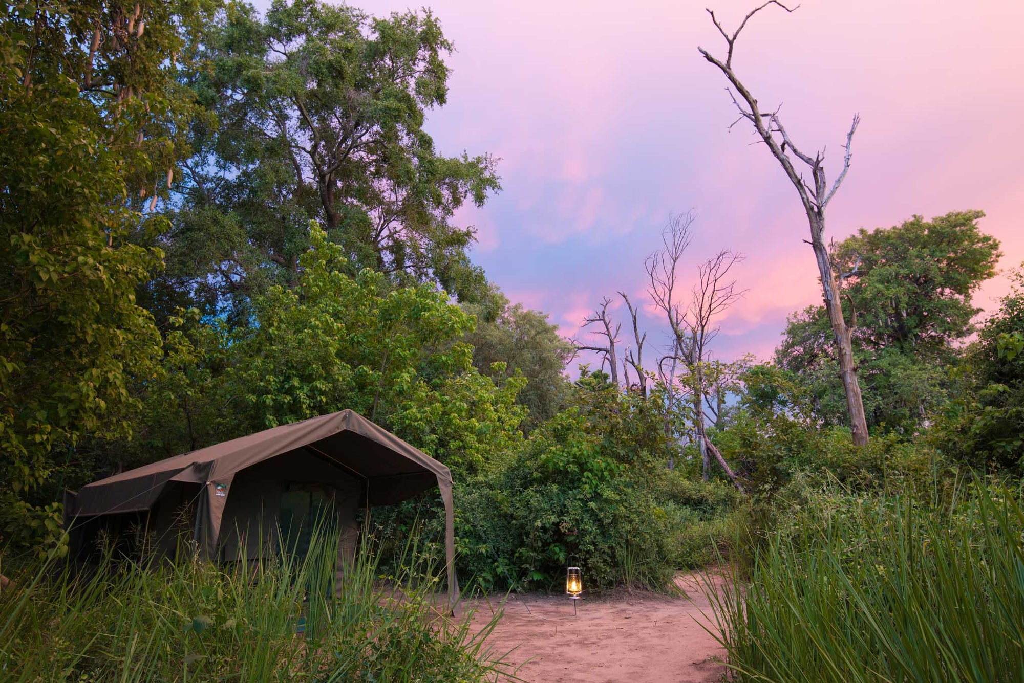 Xobega guest tent under a pink sunset