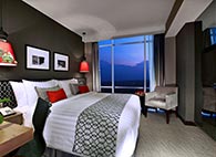 Deluxe Queen Room Only