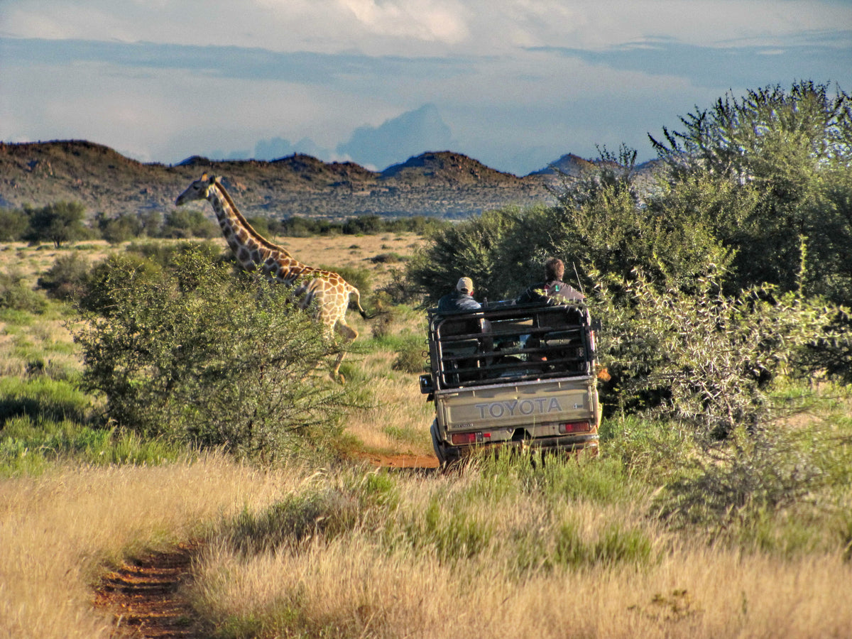 Swartfontein Mountain Desert Guest Lodge