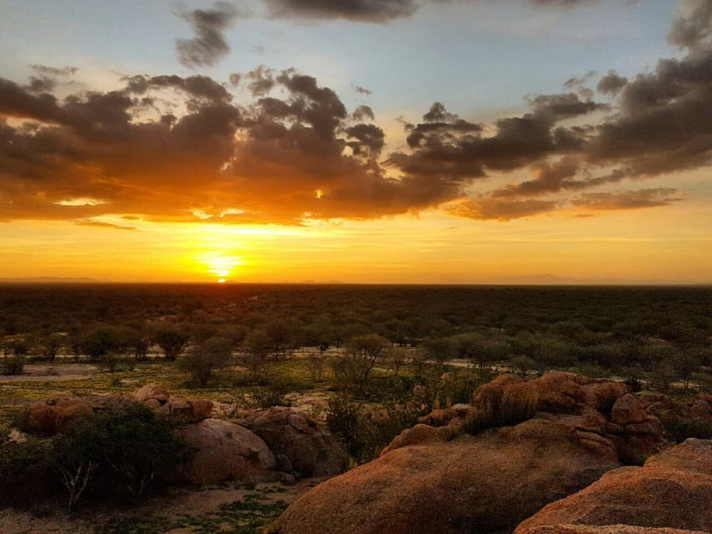 Sundowner Drive View