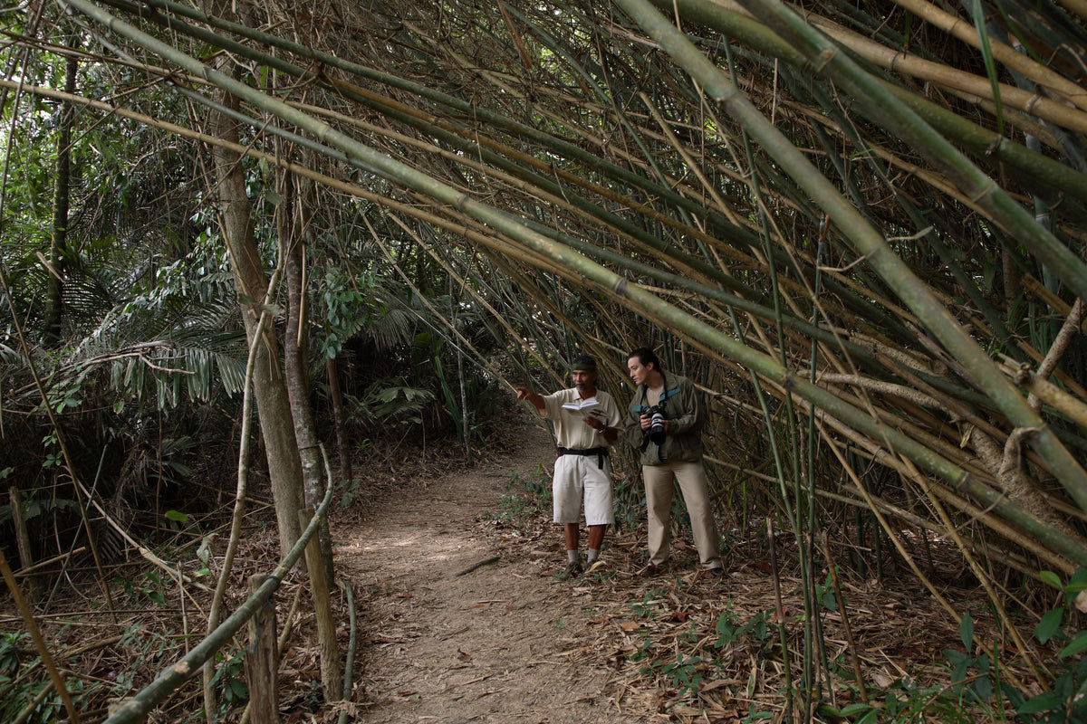 Jara Walk with the Resort Naturalist