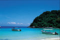 Snorkelling or Diving in Tenggol Island