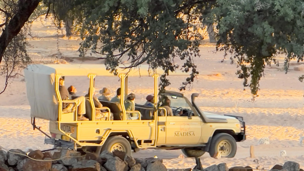 Elephant Tracking at Madisa Camp, Twyfelfontein, Namibia.