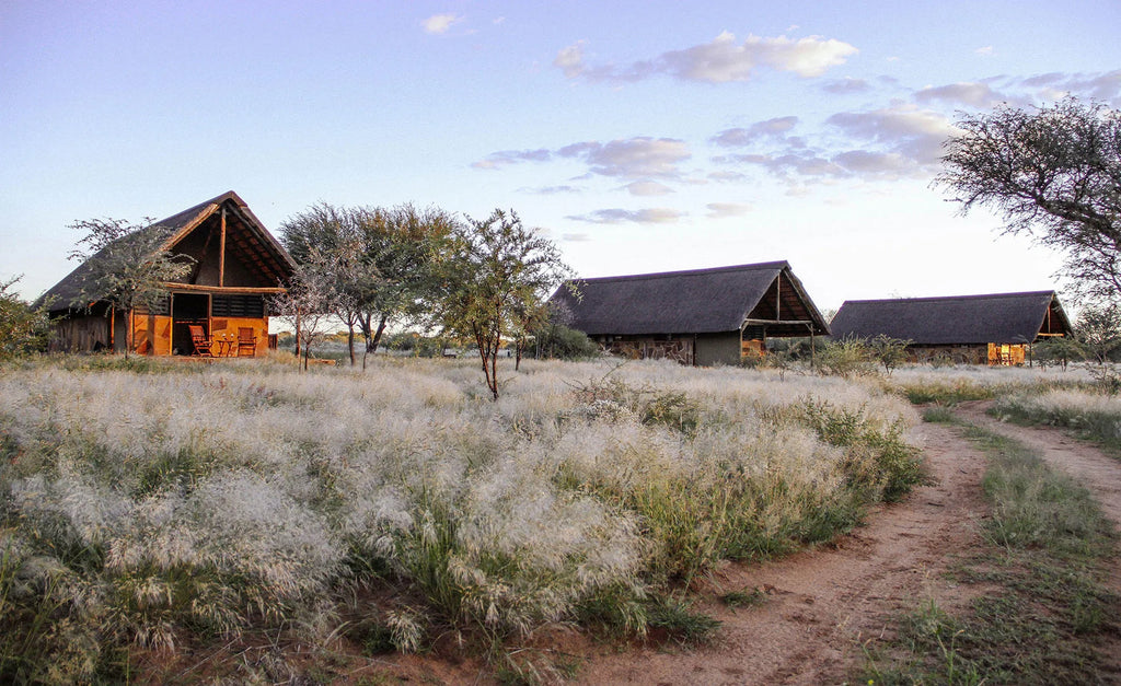 ARU - Kalakwa at ARU Game Lodges (Kalakwa), Central Namibia, Namibia.