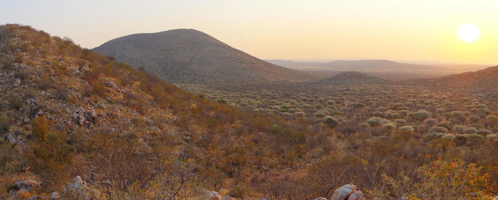 ARU - Kalakwa at ARU Game Lodges (Kalakwa), Central Namibia, Namibia.