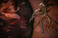 Gallery image 2.