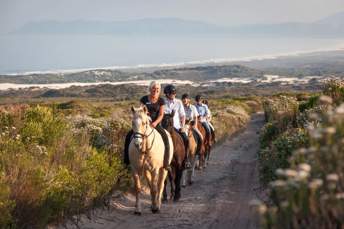 Horse riding on the Reserve