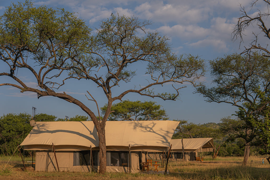 Intimate Mobile Camps