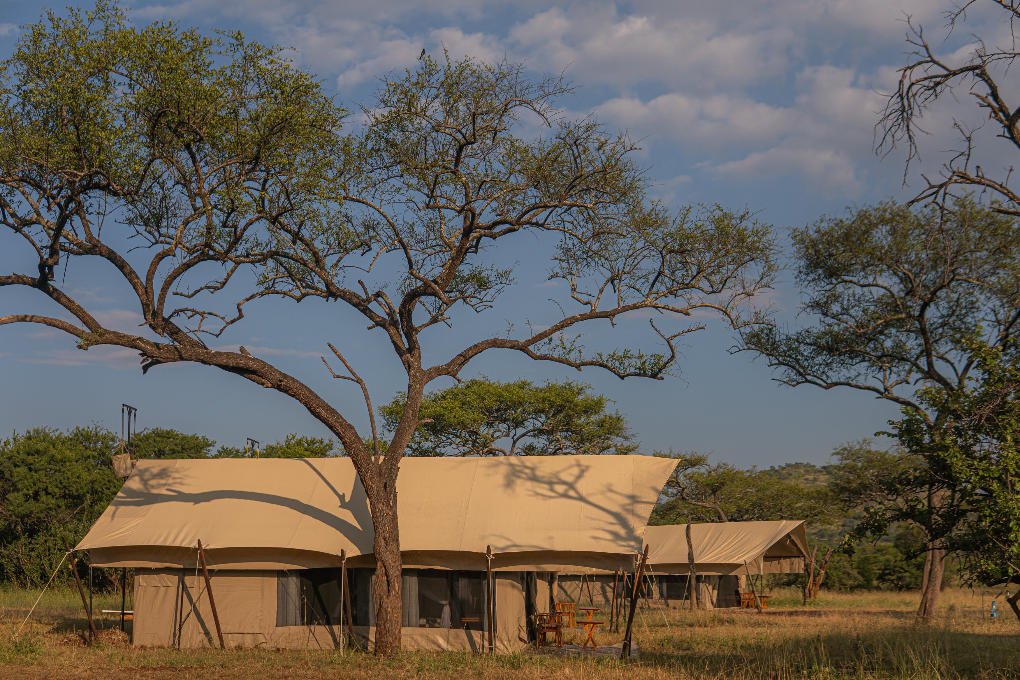 Intimate Mobile Camps