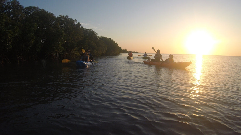 Kayaking, Dhow cruise and Snorkel Picnic on Inhaca Island