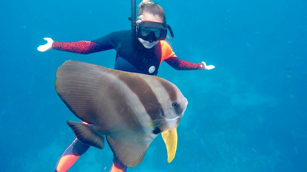 Adventure Freediving Course with Andy Coetzee
