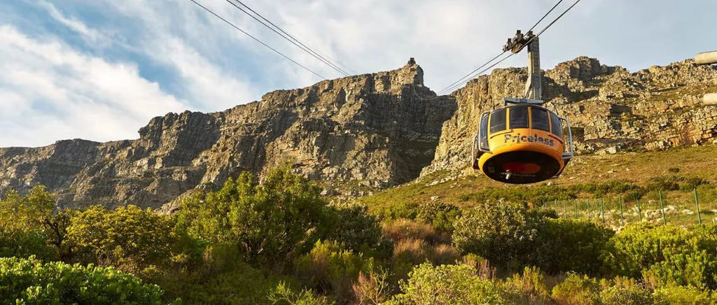 Table Mountain, Cape Town, South Africa gallery image 4.
