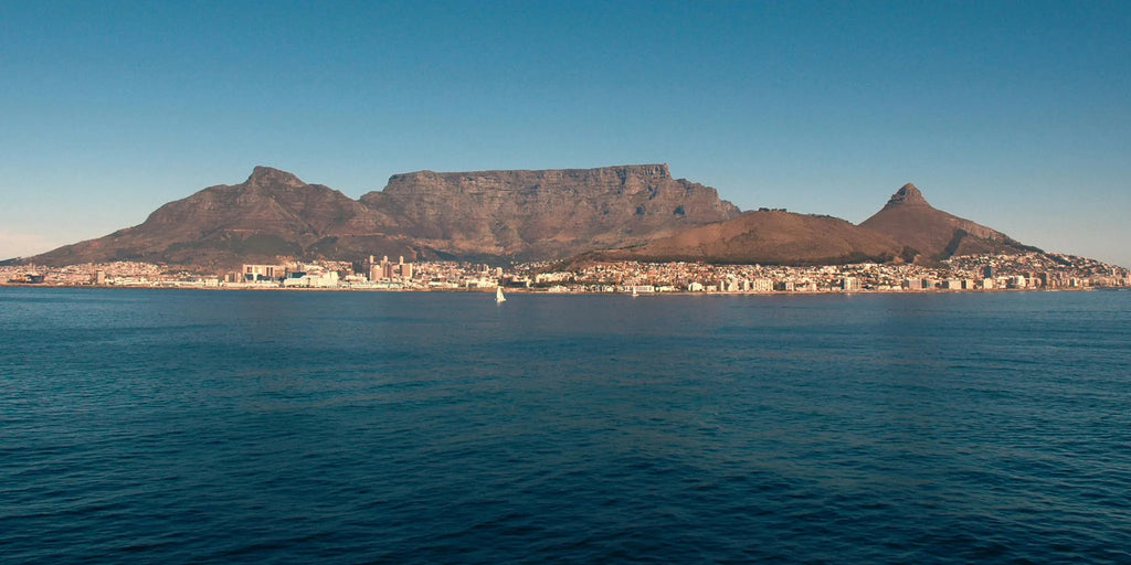Table Mountain, Cape Town, South Africa gallery image 11.