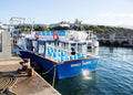 Hermanus Whale Cruises