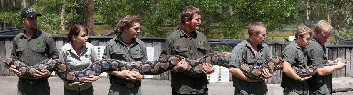Australian Reptile Park