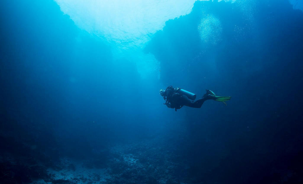 https://www.facebook.com/blueseasondiving/photos/a.288516824518938.62678.270213476349273/999799000057380/?type=3&theater