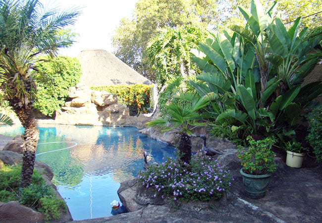 45 Peter Place